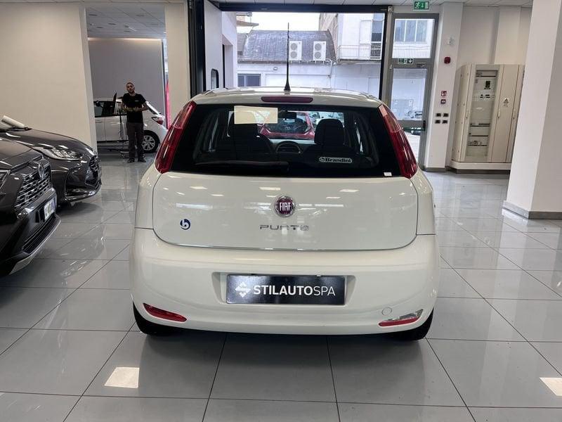 FIAT Punto Punto 1.2 8V 5 porte Street