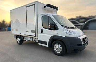Fiat Ducato Frigo