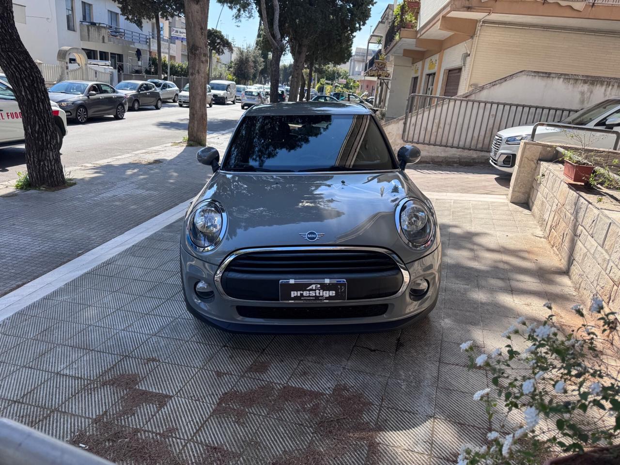 Mini Mini 1.5 One D