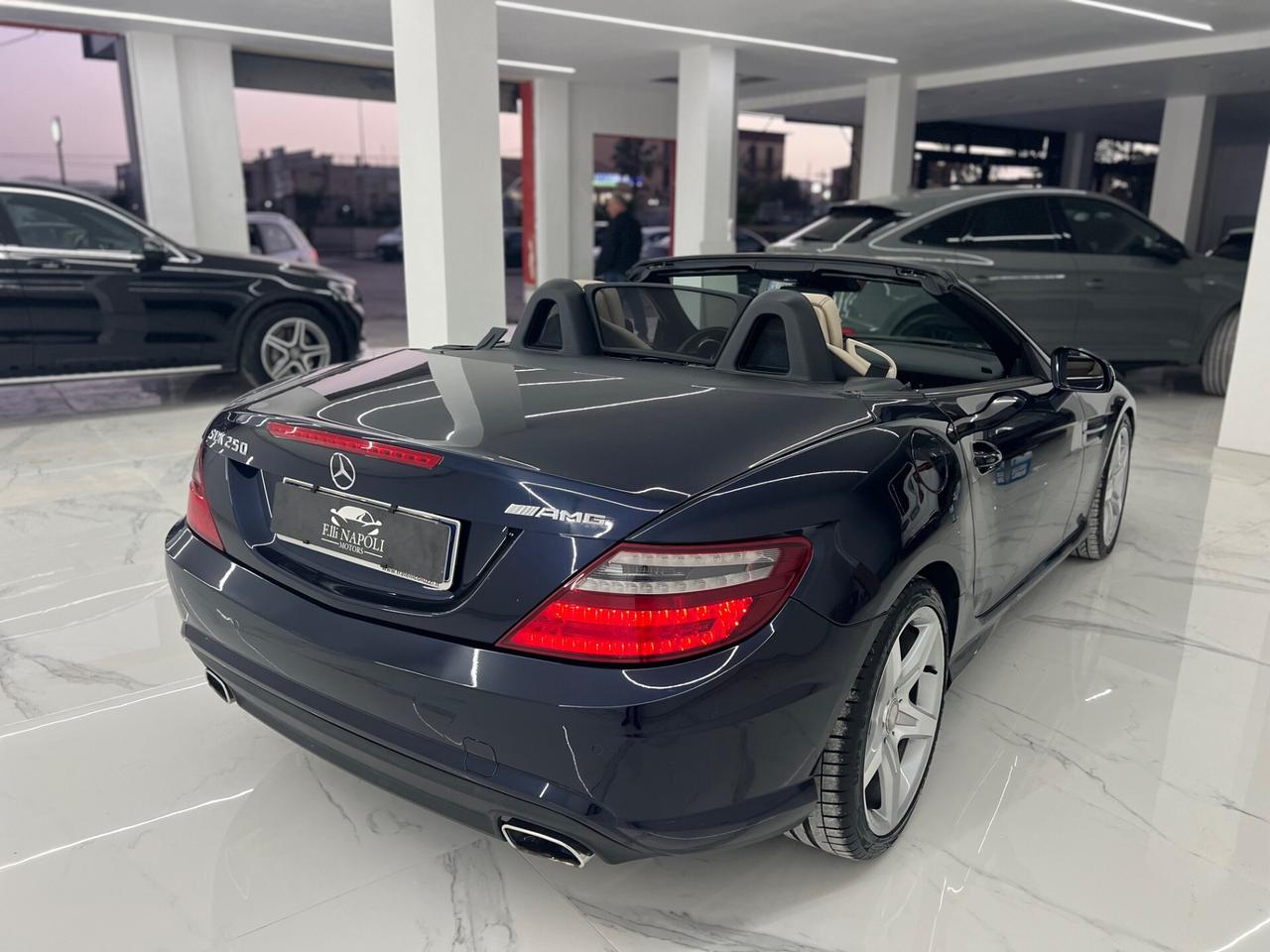 Mercedes-benz SLK 250 CDI Premium