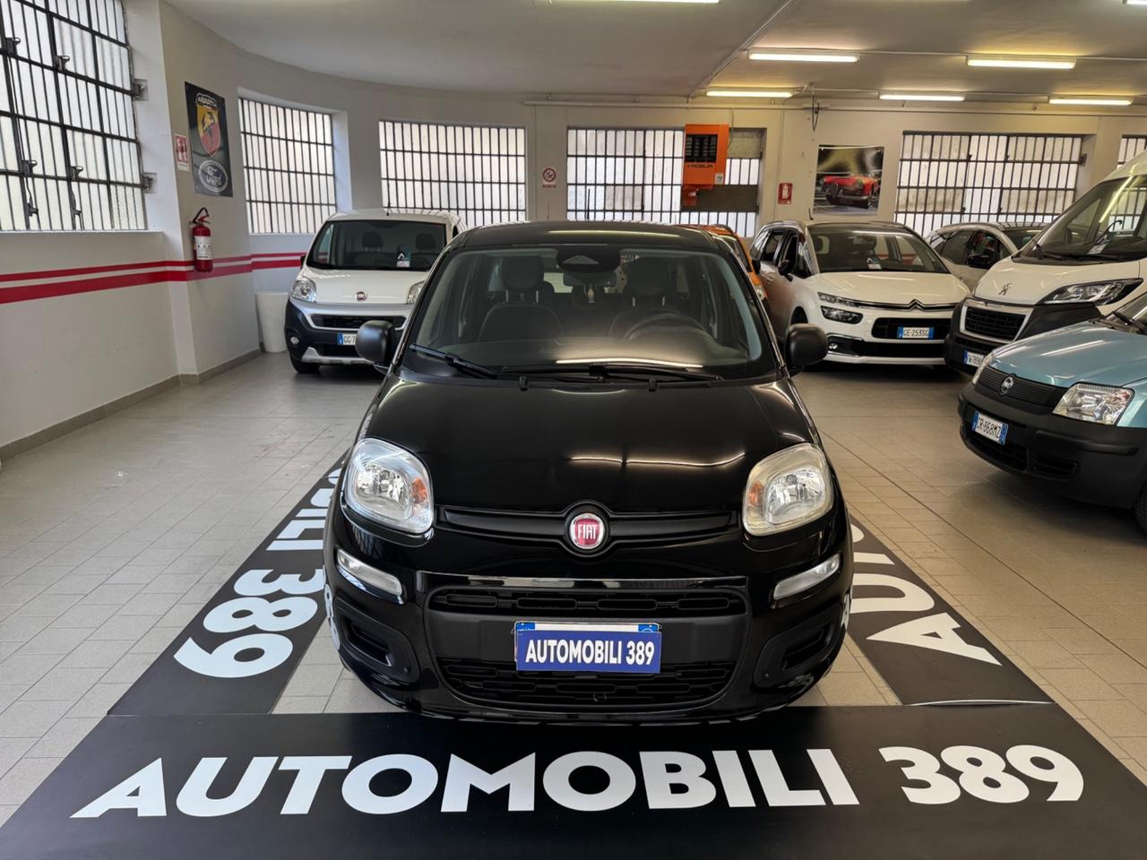 Fiat Panda Pandina 1.0 FireFly 65 CV Hybrid Icon