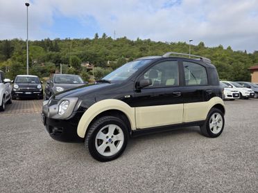 Fiat Panda 1.3 MJT 16V 4x4 Monster