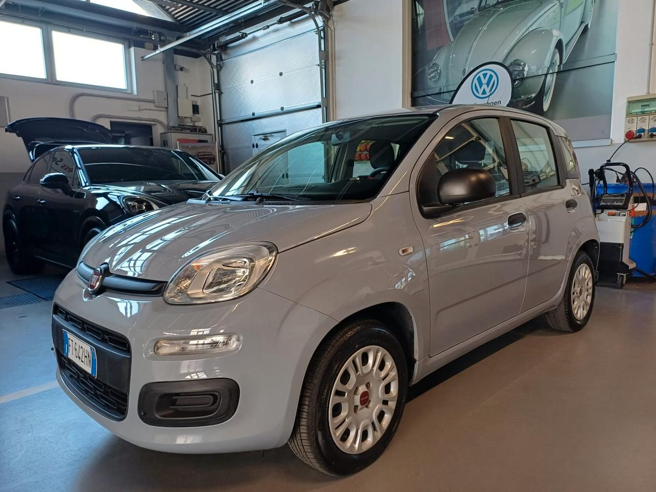 Fiat Panda 1.2 Easy 69CV *** OK NEOPATENTATI ***