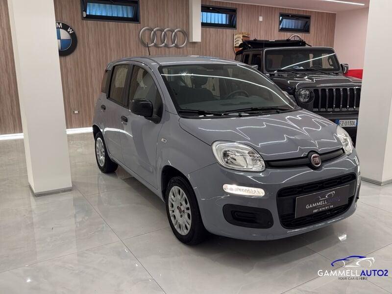 FIAT Panda Panda 1.2 Easy
