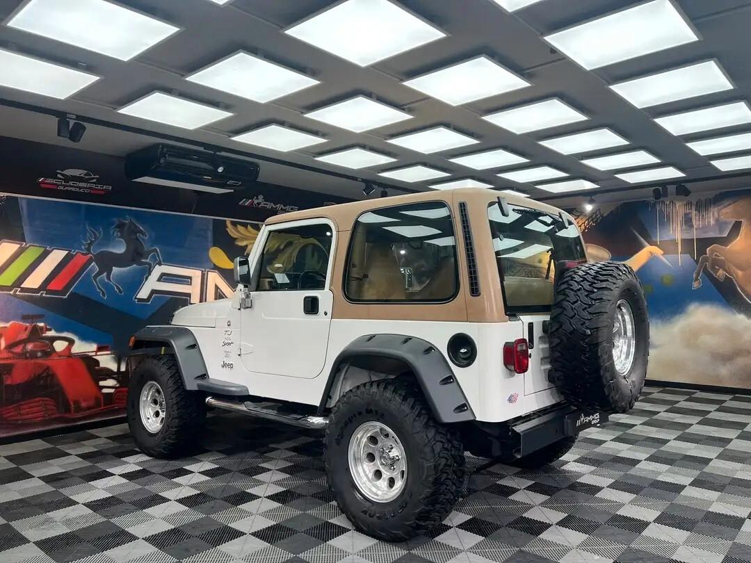 Jeep Wrangler 4.0 cat Hard top (EU)