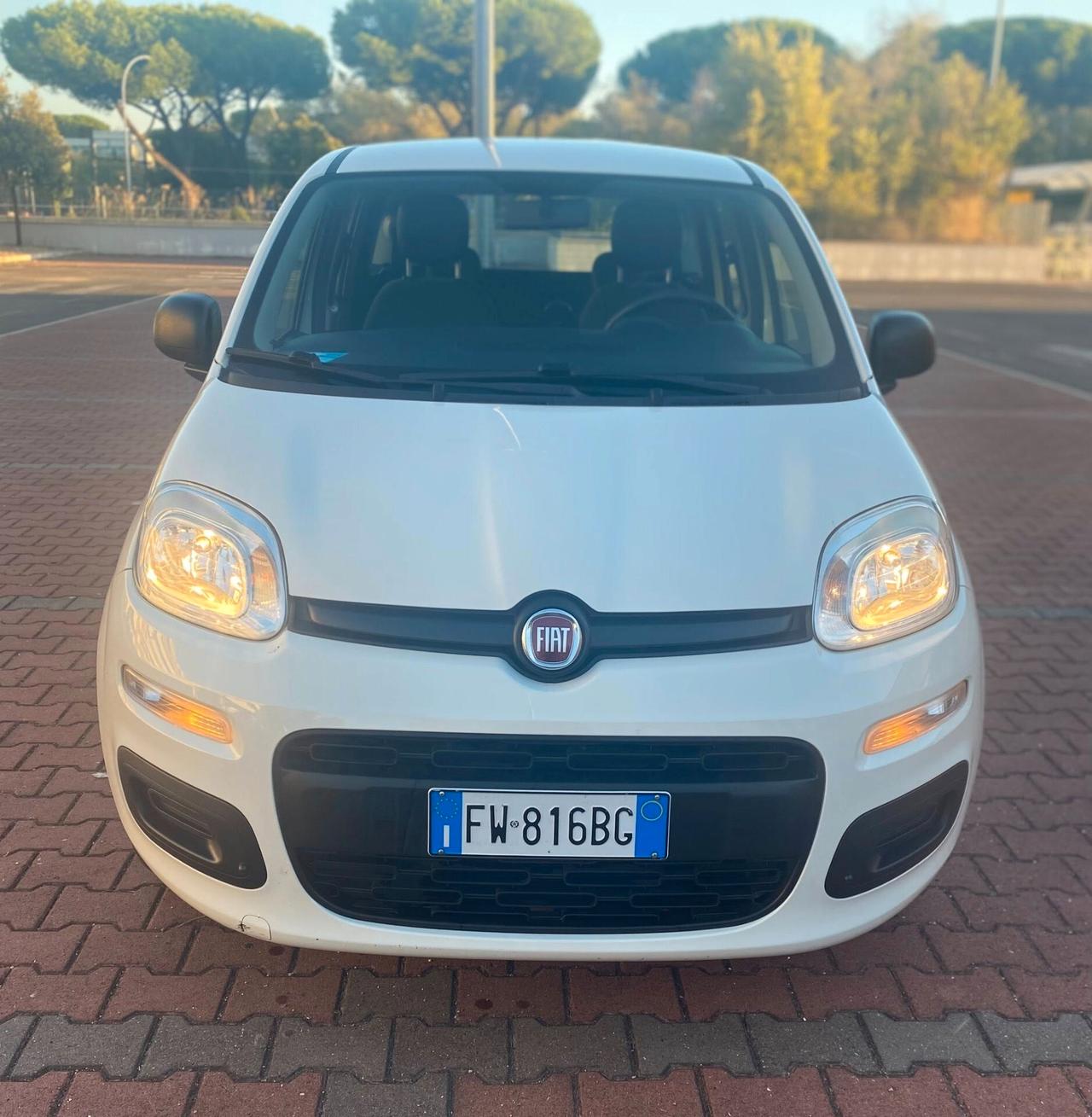 FIAT PANDA EASY 1.2cc IDONEA NEOPATENTATI