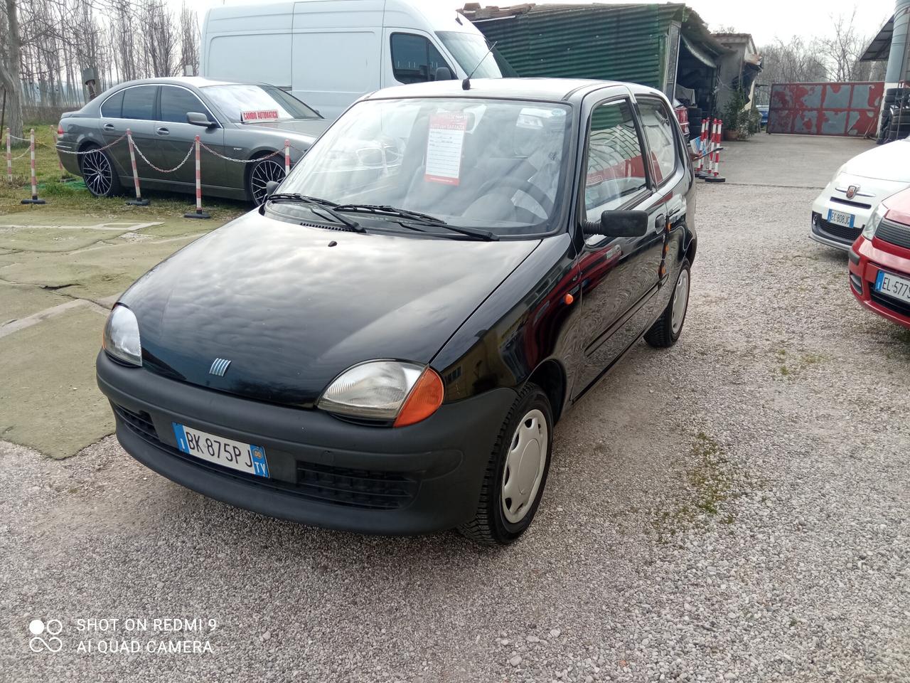 Fiat Seicento 900i cat Young