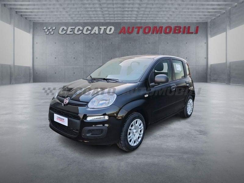 FIAT Pandina Pandina 1.0 65cv Hybrid Pop