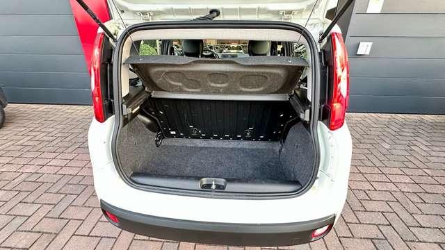 Fiat Panda 1.2 Benzina 69CV S&S Easy +Neopatentato