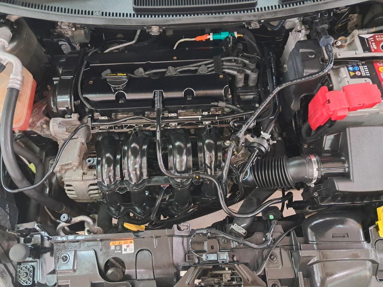 Ford Fiesta 1.2 60CV 5 porte Business