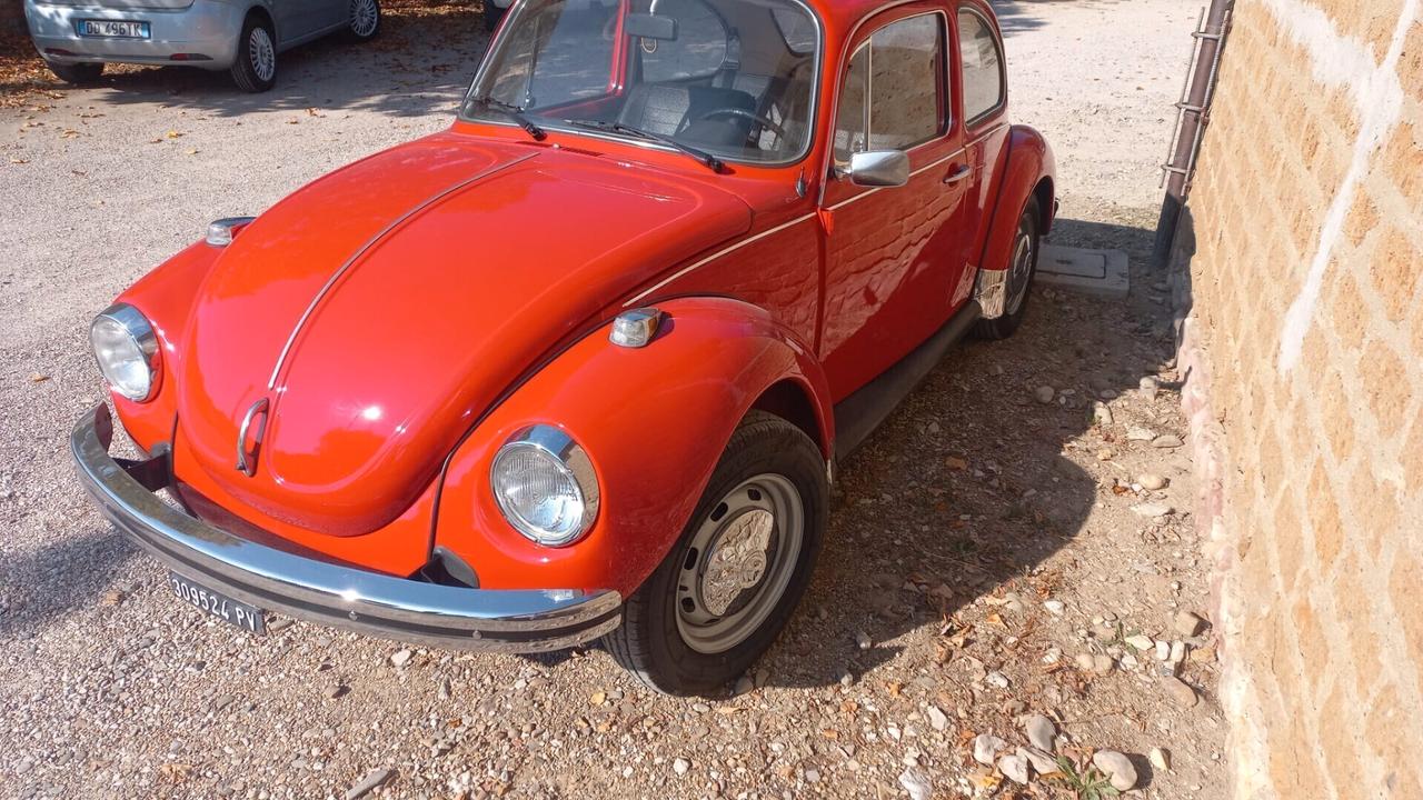 MAGGIOLINO MAGGIOLONE VOLKSWAGEN