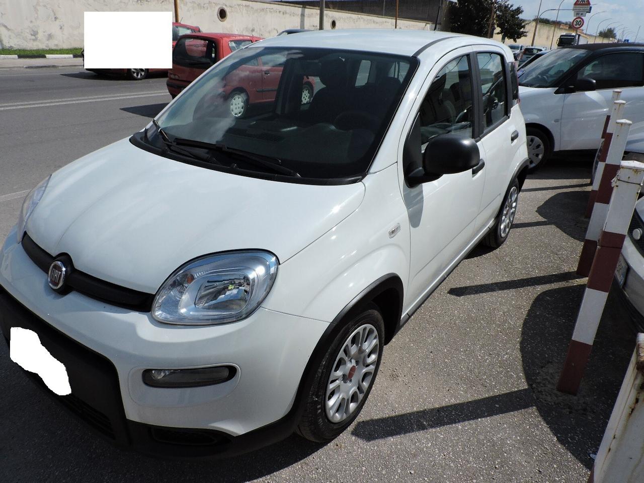 Fiat Panda 1.0 ibrida solo noleggio