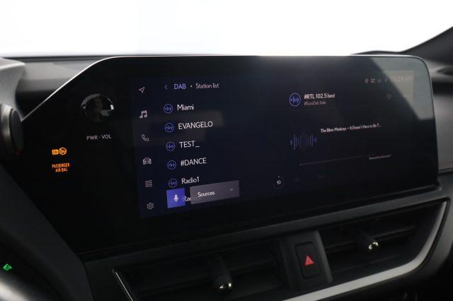 LEXUS Other UX UX Hybrid F Sport