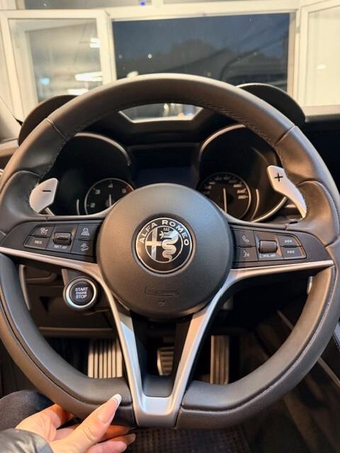 Alfa Romeo Stelvio 2.2 Turbodiesel 210 CV AT8 Q4 Executive 2019