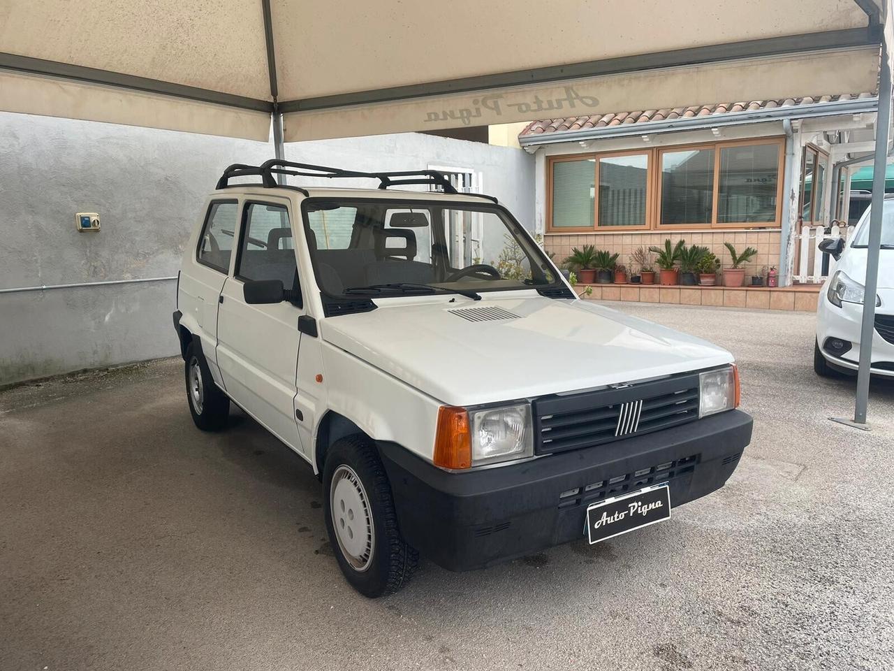 Fiat Panda 1100 i.e. cat Young