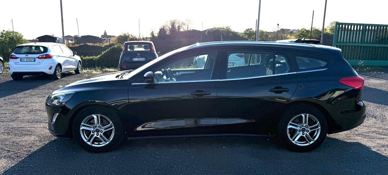 Ford Focus 1.5 EcoBlue 120 CV automatico SW Business Co-Pilot