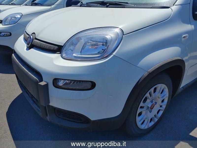 FIAT Panda 1PH My24 1.0 70cv Hybrid Panda