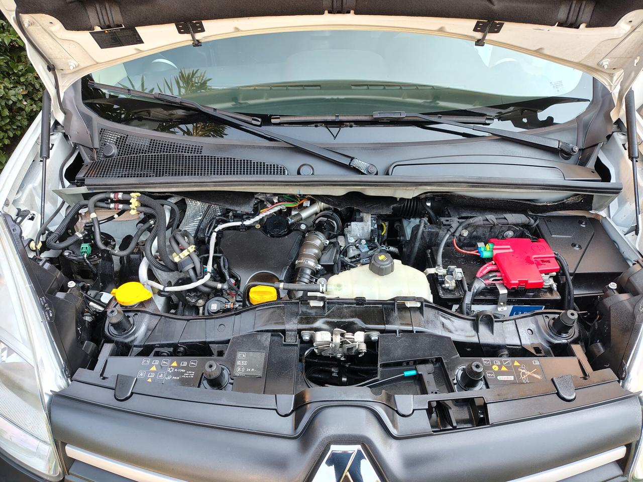 Renault Kangoo Blue dCi 95CV Express Furgone Ice