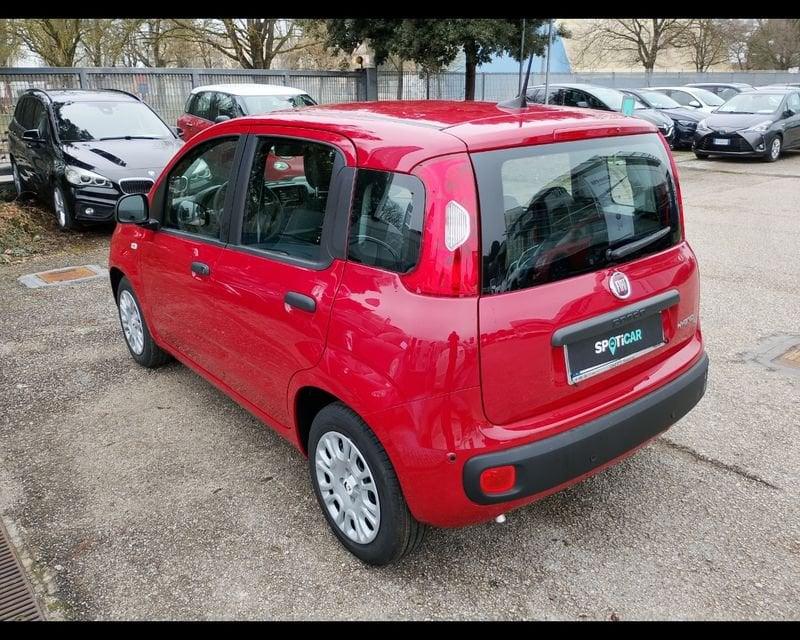 FIAT Pandina 1.0 FireFly 65cv S&S 6m Hybrid Icon
