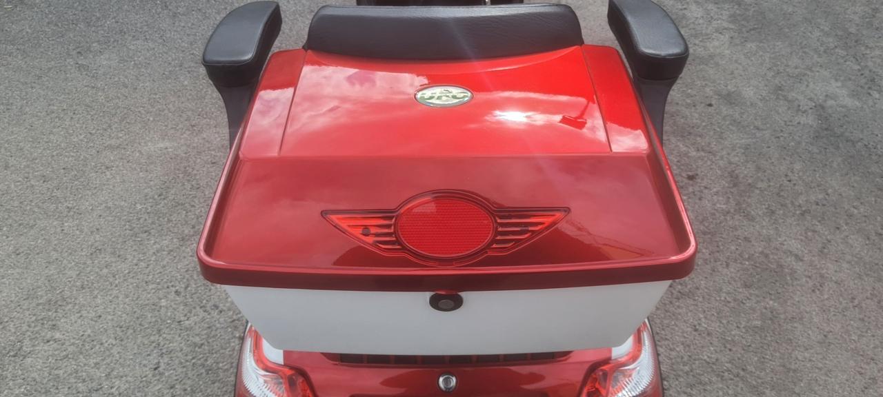 Ecomobile Standart - ECO Ufoecobike mod ufo 3 colibri elettrico