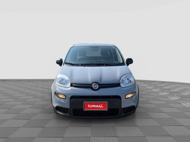 FIAT Panda Panda 1.0 FireFly Hybrid City Life