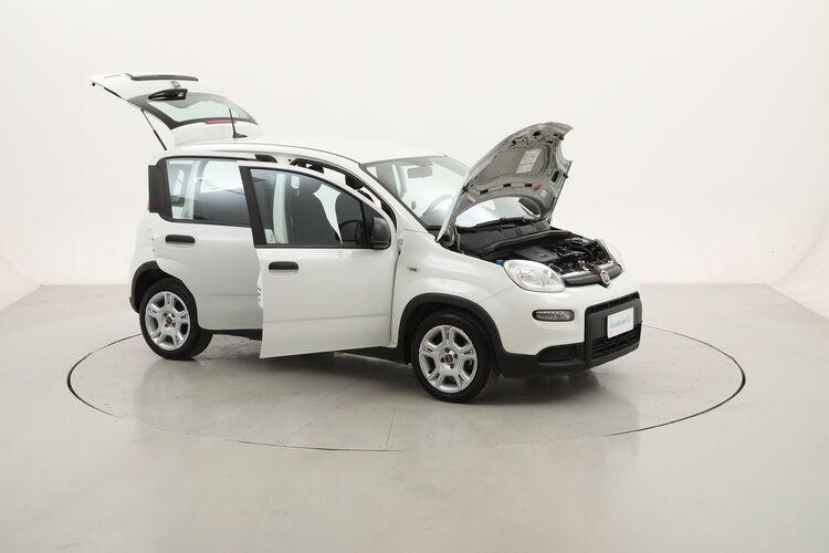 Fiat Panda Hybrid BR259320 1.0 Mild Hybrid 70CV