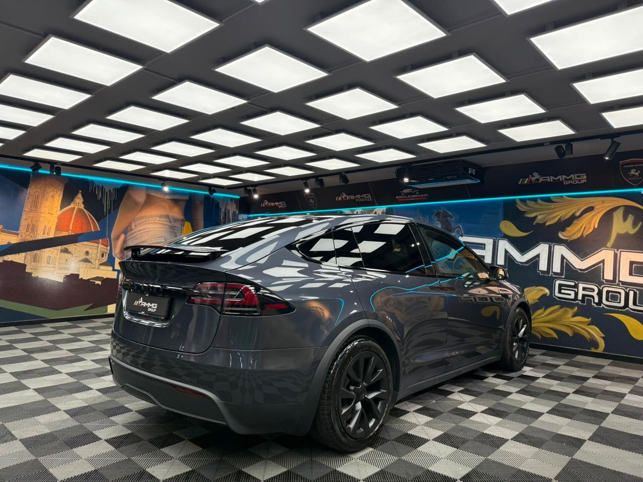 Tesla Model X LONG RANGE (734)