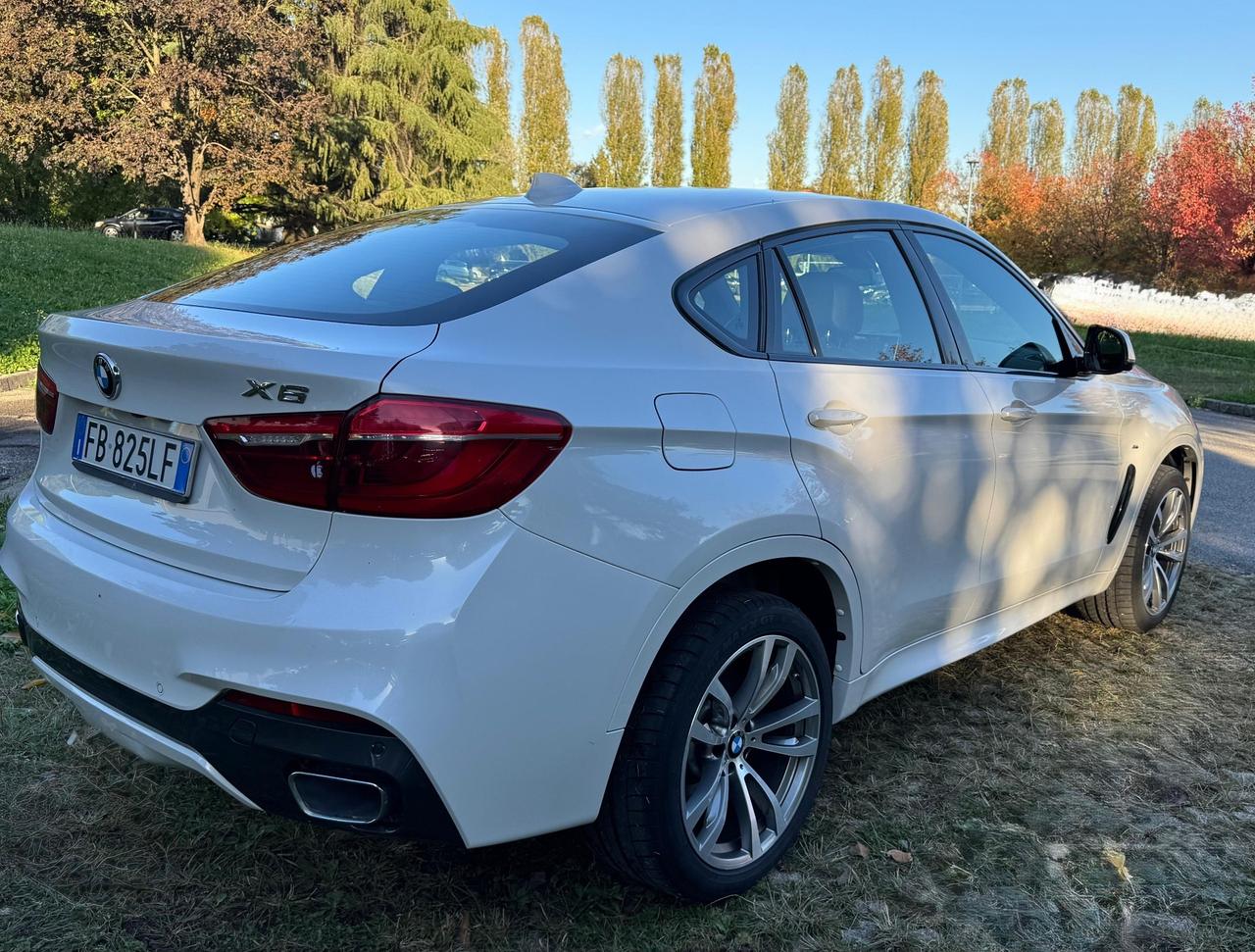 Bmw X6 xDrive30d 258CV Msport