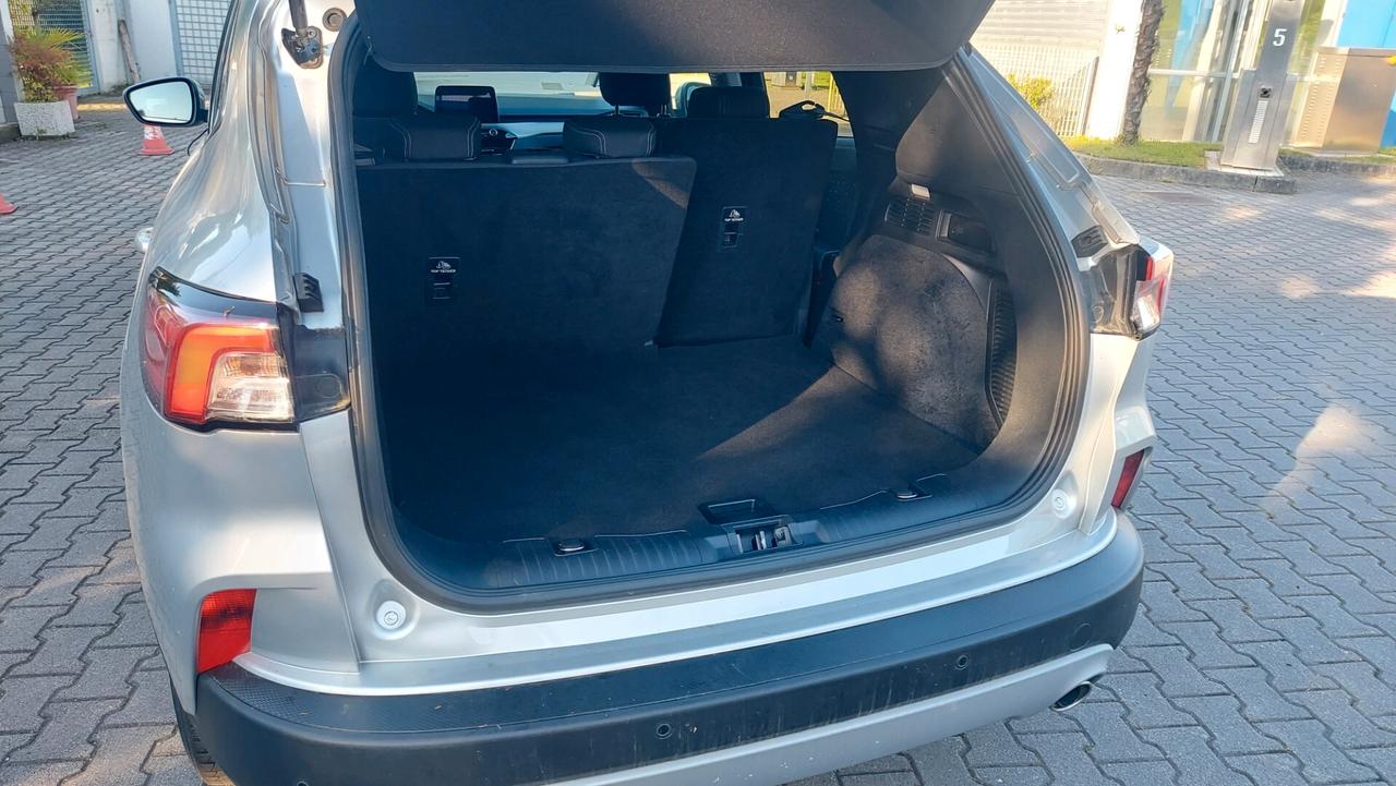 Ford Kuga 2.0 EcoBlue Hybrid 150 CV 2WD Titanium