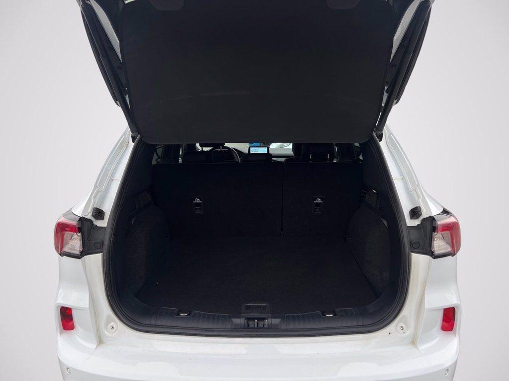 FORD Kuga 2.5 Plug In Hybrid 225 CV CVT 2WD ST-Line X del 2022