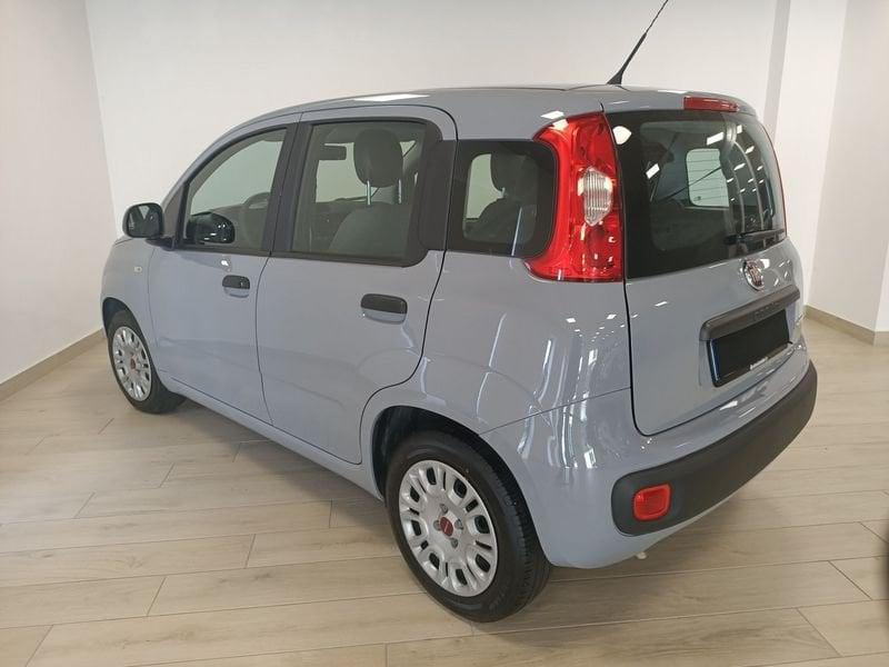 FIAT Panda 3ª serie 1.0 FireFly S&S Hybrid