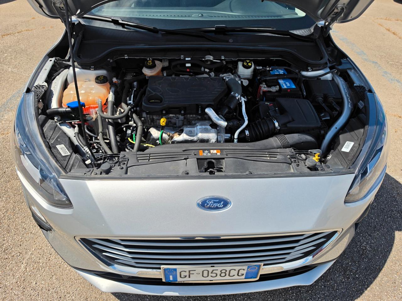 Ford Focus 1.5 EcoBlue 95 CV 5p. Business
