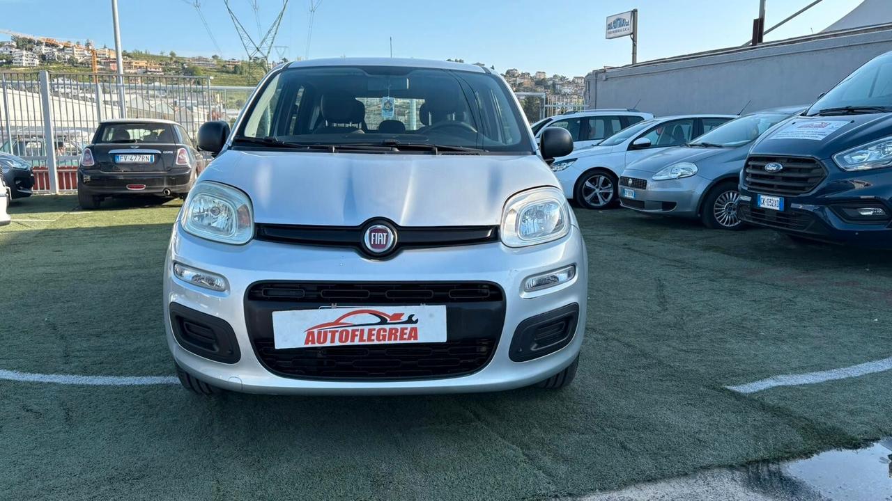Fiat Panda 1.2 312PXA1A | BENZINA|169A4000 CC 1242 CV 69 KW 51 BERLINA, 5 P. (92816