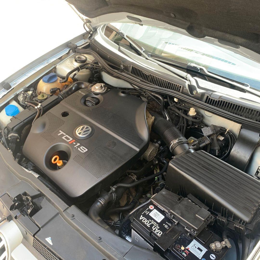 Volkswagen Golf 1.9 TDI/110 CV cat Highline