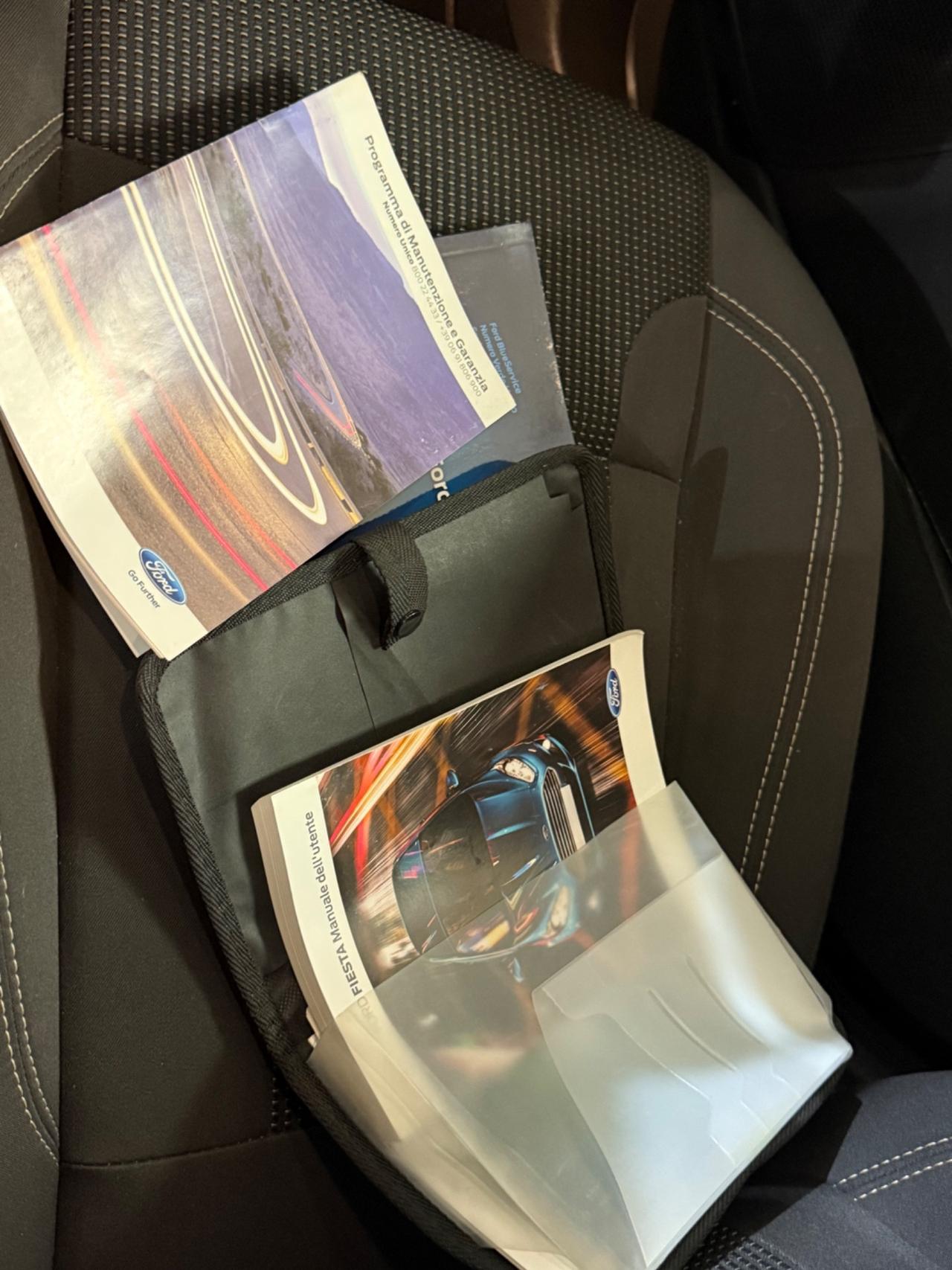 Ford Fiesta 1.4 5 porte Bz.- GPL Black & White Edition