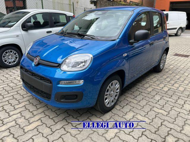 FIAT Panda PROMO FINANZIAMENTO 1.0 Hybrid Icon KM 0