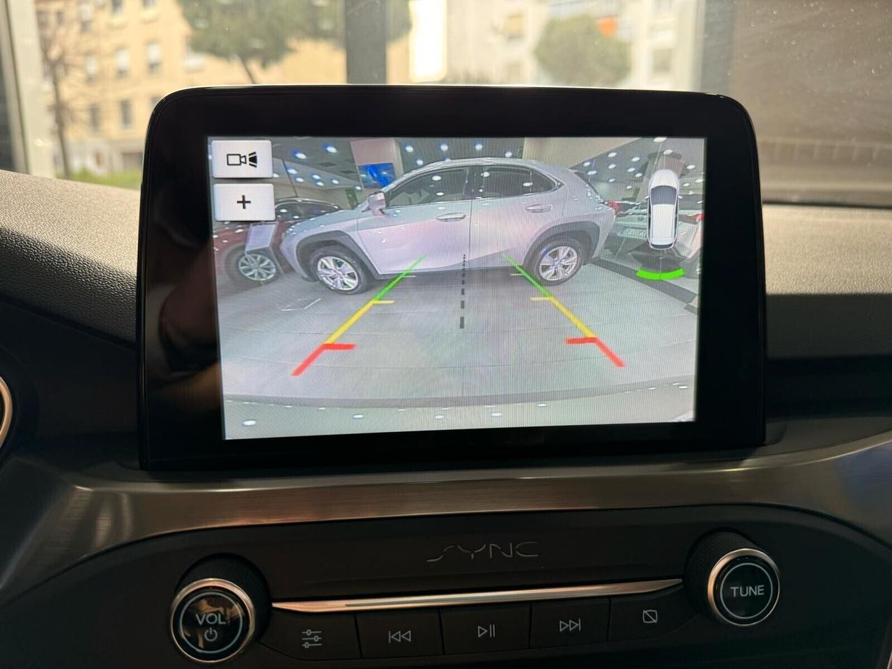 Ford Focus 1.5 EcoBlue 120 CV 5p. Business Cambio Automatico