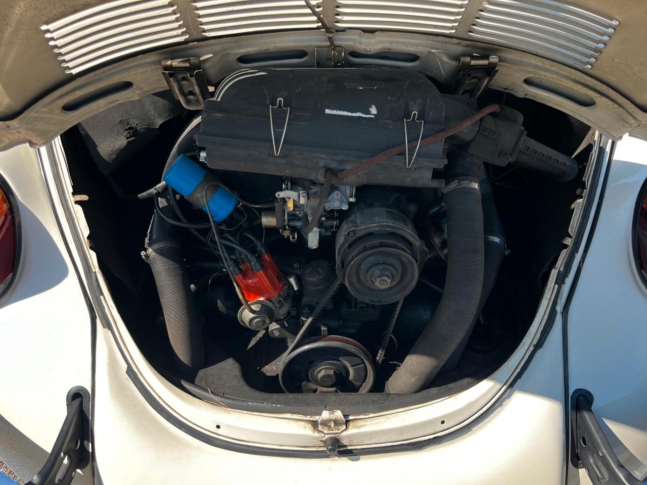 Volkswagen Maggiolone cabrio