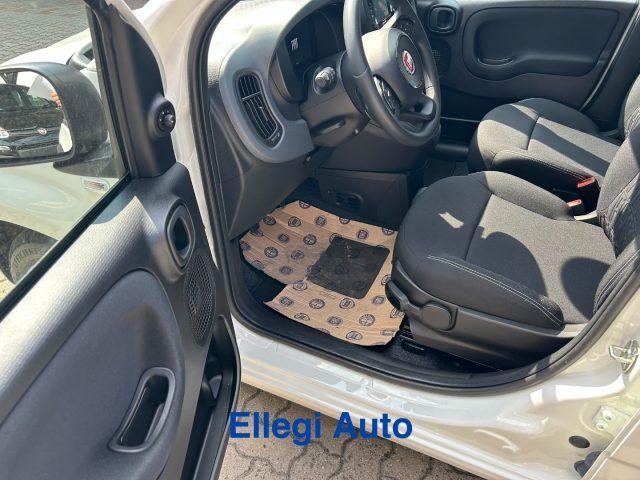 FIAT Panda PROMO FINANZ 1.0 HYBRID ICON KM 0