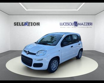 FIAT Pandina My26 1.0 65cv Hybrid Icon