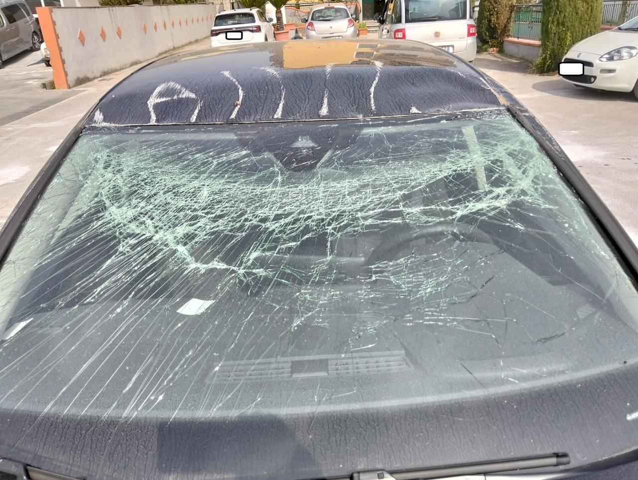 Volkswagen Golf 1.5 TSI 115cv 2025 SINISTRATA