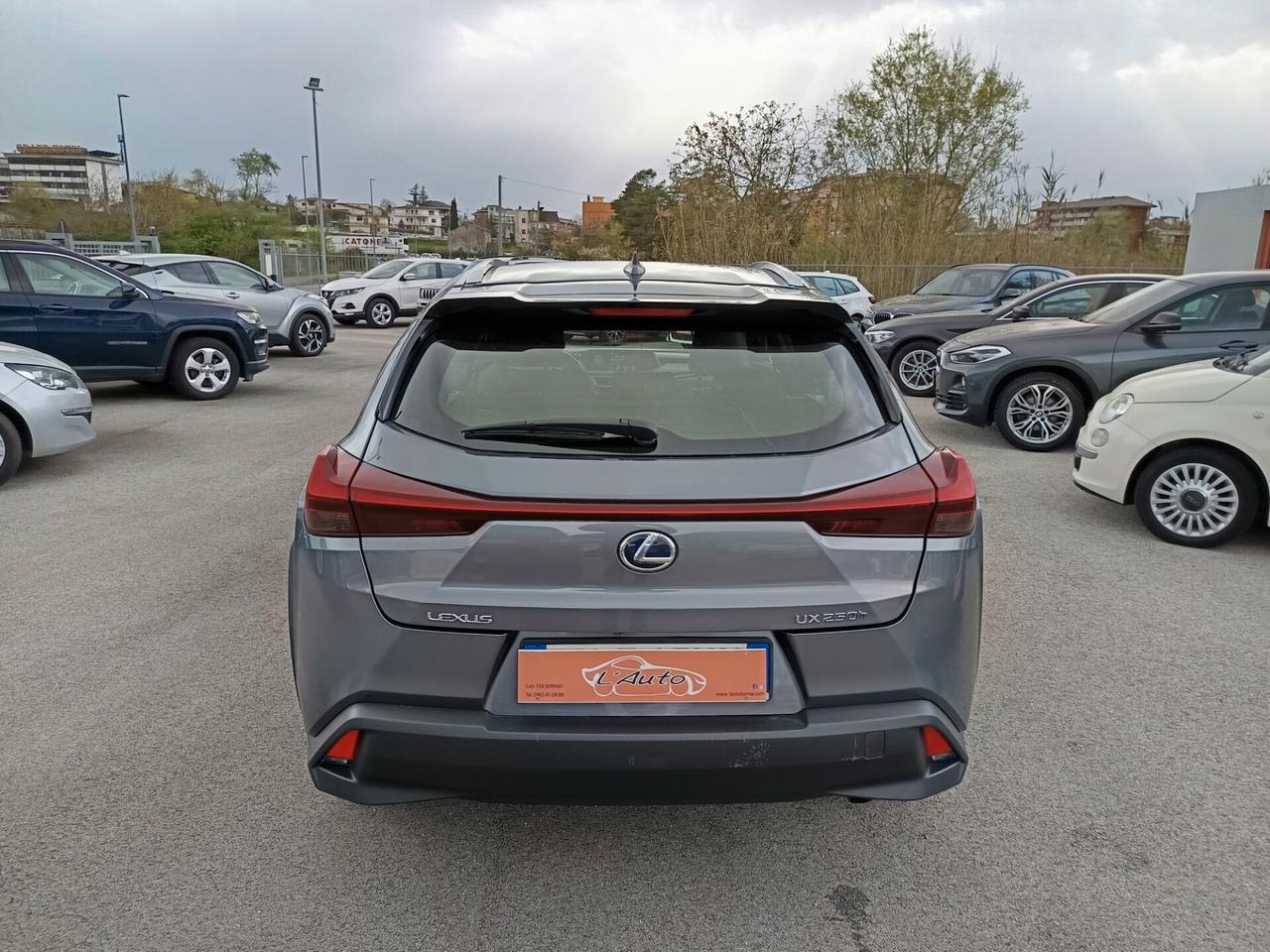 Lexus UX UX 250h 2.0 Business 2WD CVT MY20