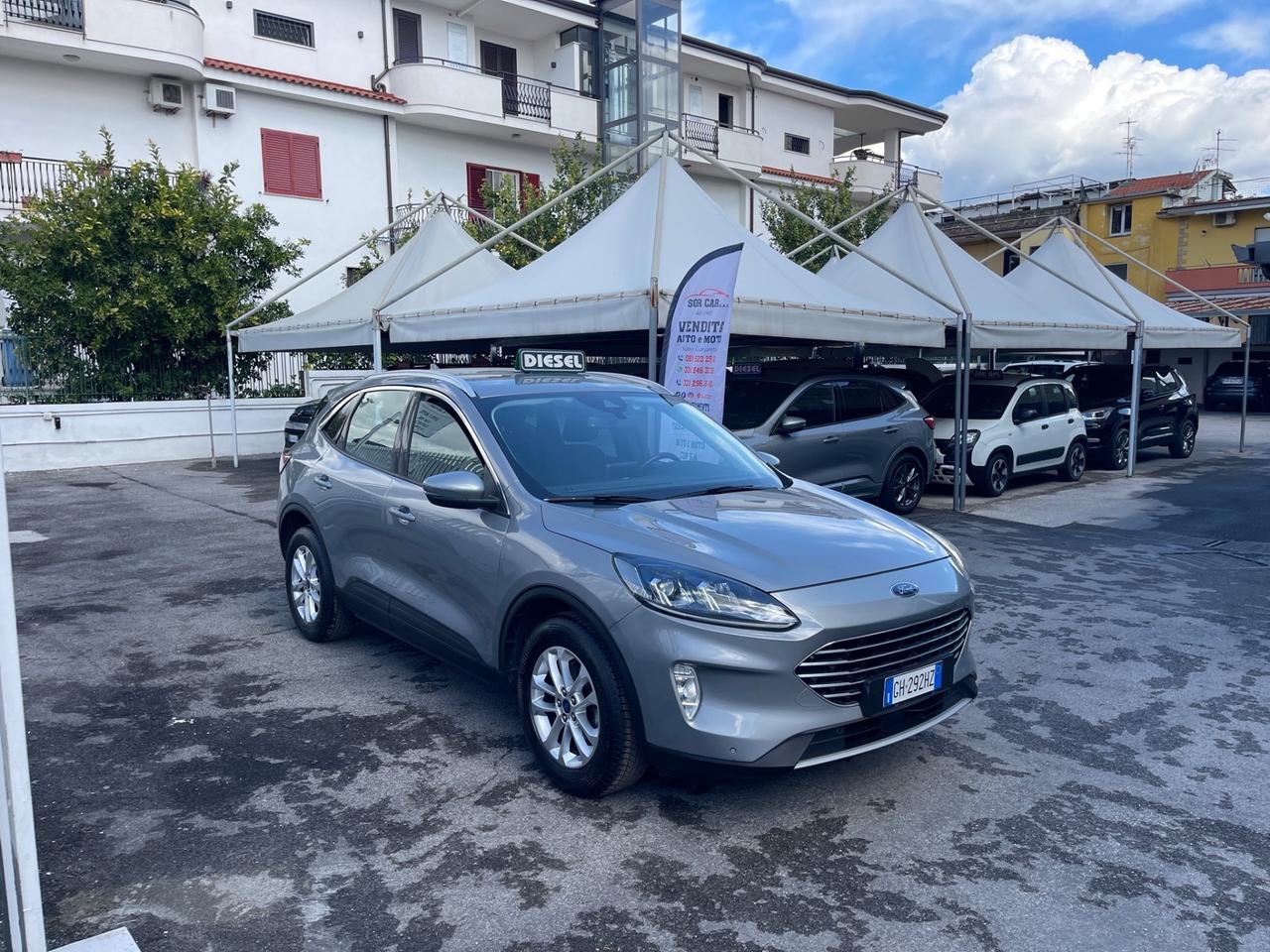 Ford Kuga 1.5 EcoBlue 120 CV aut. 2WD Titanium Business