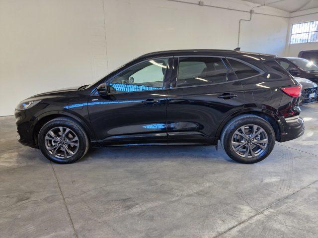 FORD Kuga 2.5 Plug In Hybrid 225 CV CVT 2WD ST-Line X