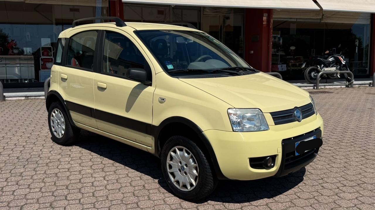 FIAT PANDA 1.2 4x4 CLIMBING