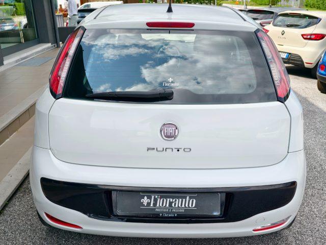 FIAT Punto Evo 1.3 Mjt 75 CV 5 porte Active NEOPATENTATI