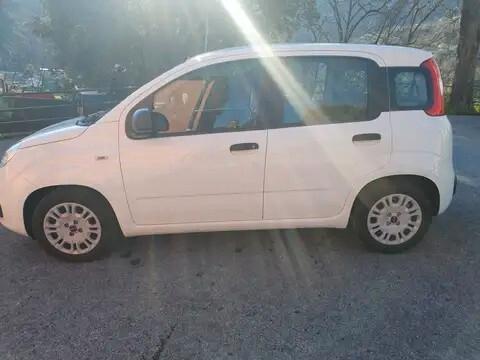 Fiat Panda 1.0 FireFly S&S Hybrid Easy