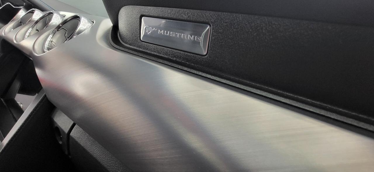 Ford Mustang VI Fastback 5.0 ti-vct V8 GT 450cv auto my20