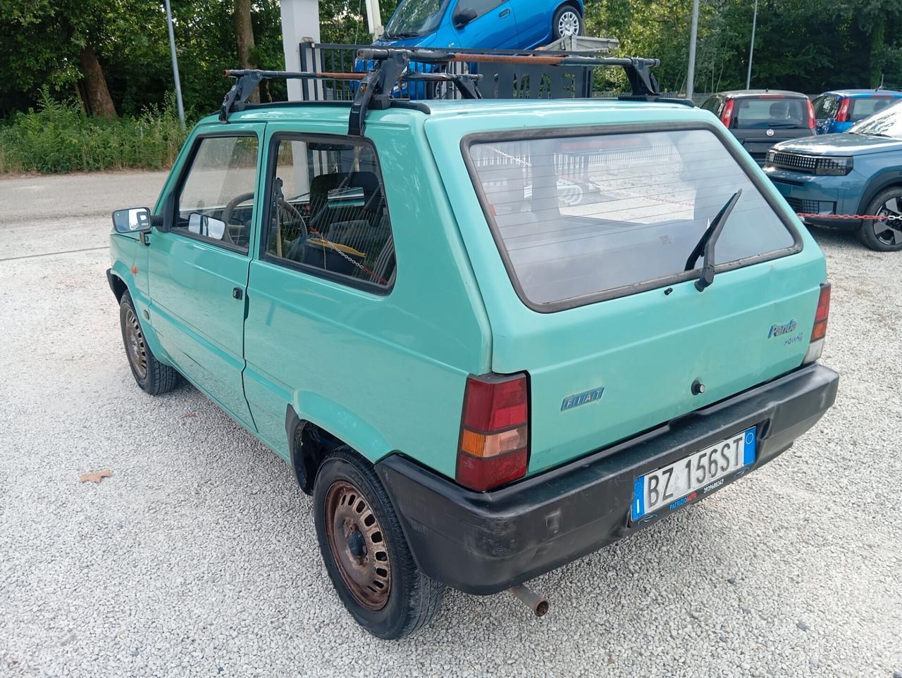 Fiat Panda 1100 i.e. cat Young