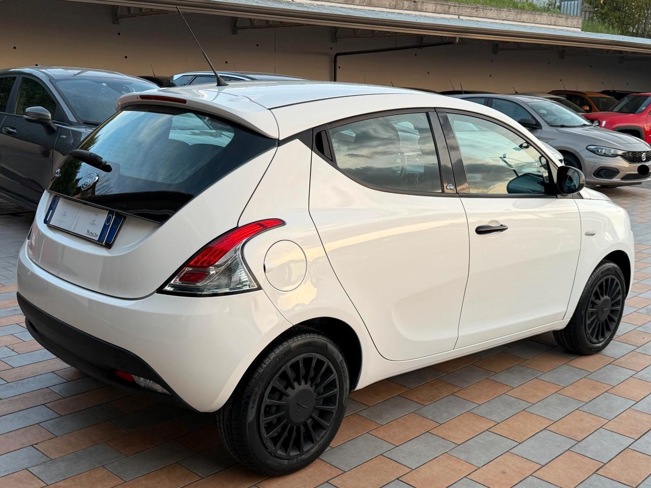 Lancia Ypsilon 1.2 69 cv. ELEFANTINO BLU